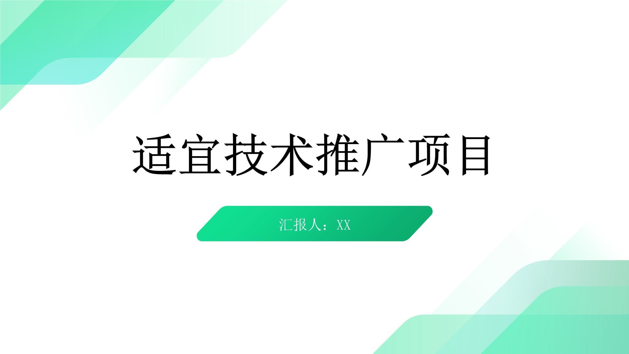 适宜技术推广项目